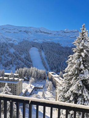 La spatule Flaine